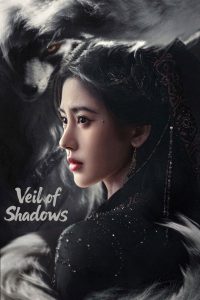 Veil of Shadows (2026)